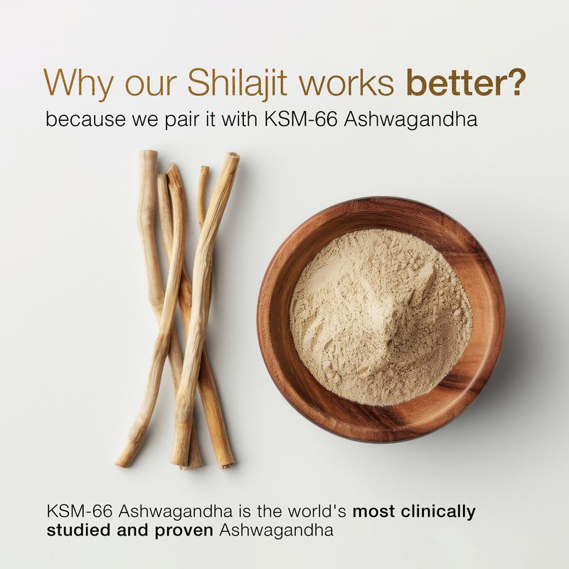 Gomitas de oro de shilajit puro del Himalaya Elvaris™